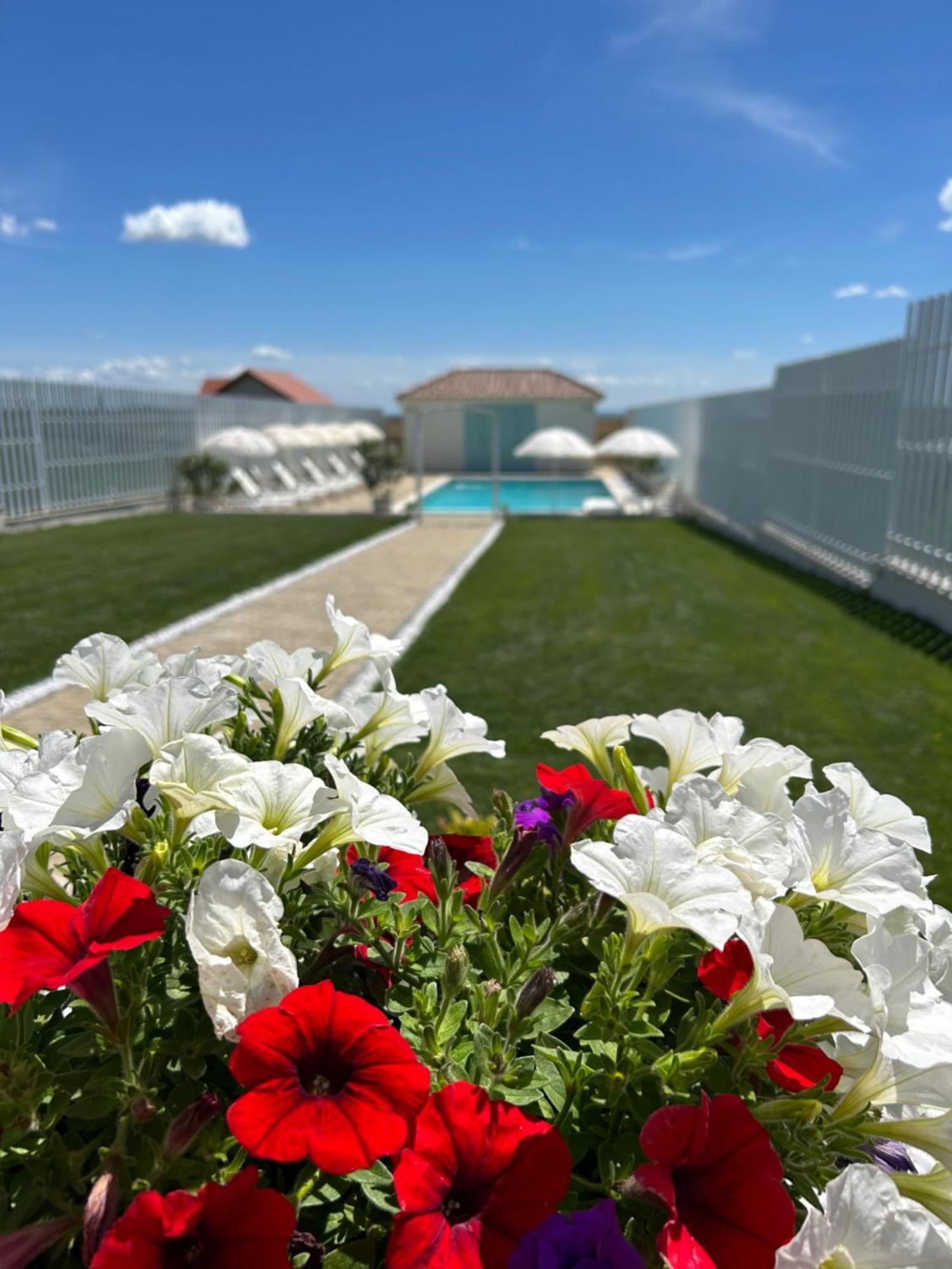 Alma Rezidence Bed & Breakfast Turda Luaran gambar
